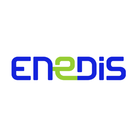 enedis logo