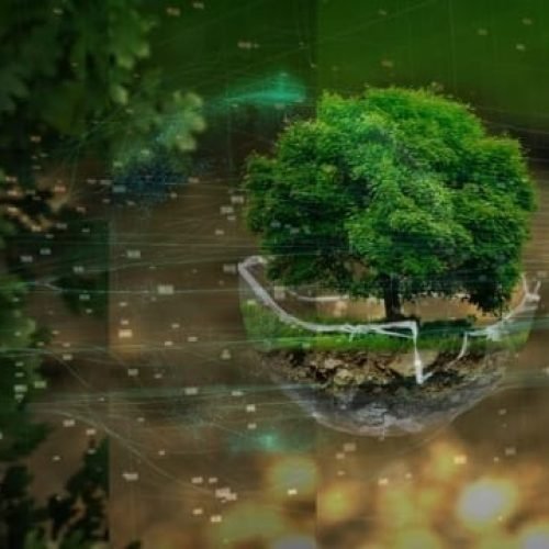 transformation digitale et environnement